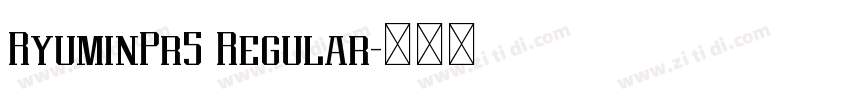 RyuminPr5 Regular字体转换